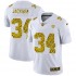 NFL Las Vegas Raiders Bo Jackson 34 Nike Flocked Leopard Print White Jersey