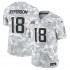 NFL Minnesota Vikings Justin Jefferson Nike 2024 Salute to Service Jersey