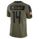 NFL Seattle Seahawks DK Metcalf 14 Nike 2021 Salute to Service Jersey