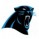 Carolina Panthers